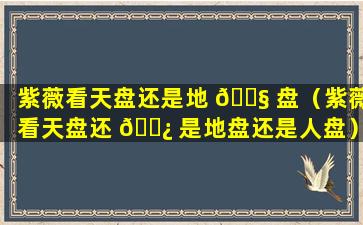 紫薇看天盘还是地 🐧 盘（紫薇看天盘还 🌿 是地盘还是人盘）